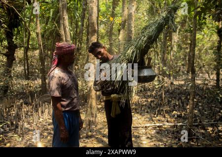 Dhaka, Dhaka, BANGLADESCH. Juni 2024. Der Honigjäger, der vor Ort als Mawali bekannt ist, zündet eine Fackel an, die aus Blättern hergestellt wird, um Rauch zu erzeugen, während er im Wald von Sundarbans in Khulna, Bangladesch Wildhonig sammelt (Foto: © Abu Sufian Jewel/ZUMA Press Wire). Nicht für kommerzielle ZWECKE! Quelle: ZUMA Press, Inc./Alamy Live News Stockfoto
