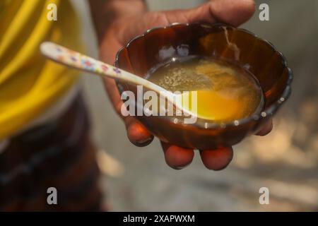 Dhaka, Dhaka, BANGLADESCH. Juni 2024. Der Honigjäger, lokal bekannt als Mawali, der Wildhonig im Wald von Sundarbans in Khulna, Bangladesch zeigt (Credit Image: © Abu Sufian Jewel/ZUMA Press Wire) NUR REDAKTIONELLE VERWENDUNG! Nicht für kommerzielle ZWECKE! Quelle: ZUMA Press, Inc./Alamy Live News Stockfoto