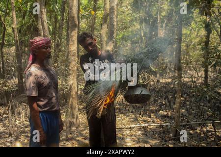 Dhaka, Dhaka, BANGLADESCH. Juni 2024. Der Honigjäger, der vor Ort als Mawali bekannt ist, zündet eine Fackel an, die aus Blättern hergestellt wird, um Rauch zu erzeugen, während er im Wald von Sundarbans in Khulna, Bangladesch Wildhonig sammelt (Foto: © Abu Sufian Jewel/ZUMA Press Wire). Nicht für kommerzielle ZWECKE! Quelle: ZUMA Press, Inc./Alamy Live News Stockfoto
