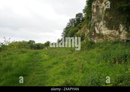 Berg Sint-Pieters Belgien Teil, Naturreservat Saint Peter, Kalkplateau, Eben-Emael, Belgien. Stockfoto