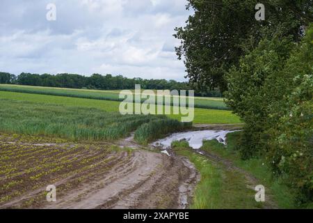 Berg Sint-Pieters Belgien Teil, Naturreservat Saint Peter, Kalkplateau, Eben-Emael, Belgien. Stockfoto