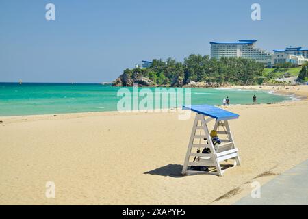 Donghae City, Südkorea - 18. Mai 2024: Eine ruhige Szene am Chuam Beach mit einer Schaukel mit Blick auf die unberührte Sandküste und das türkisfarbene Wasser Stockfoto
