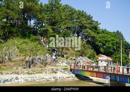 Donghae City, Südkorea - 18. Mai 2024: Touristen begeben sich die malerische Treppe hinauf zum Chuam Candlestick Rock, umgeben von üppigem Grün und A Stockfoto
