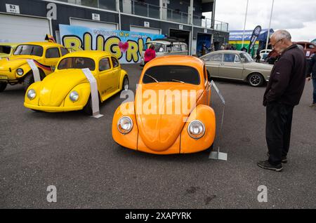 Bug Run im Mantorp Park, Mantorp, Schweden, am Samstag. VW-Enthusiasten aus ganz Schweden treffen sich beim Bug Run, der dieses Jahr 40 Jahre feiert, hier treffen sich Menschen mit VW-Käfern, Bussen und anderen klassischen VW-Modellen. Stockfoto