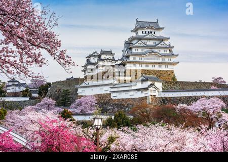 Himeji, Japan in Himeji Castle während Kirschblüte Frühjahrssaison. Stockfoto