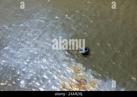 Dhaka, Bangladesch. Juni 2024. Öl ist aus einem Boot ausgelaufen, das am 8. Juni 2024 auf dem Buriganga River in Dhaka, Bangladesch, schwimmt. Trotz der Verschmutzung schwimmen zwei Menschen im verschmutzten Wasser in der Nähe. (Kreditbild: © Suvra Kanti das/ZUMA Press Wire) NUR REDAKTIONELLE VERWENDUNG! Nicht für kommerzielle ZWECKE! Stockfoto