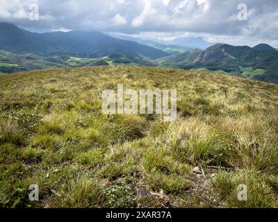 Wunderschöner Blick auf die Landschaft vom Eravikulam Nationalpark in den Kannan Devan Hills in der Nähe von Munnar. Sie befindet sich im Devikulam Taluk von Idukki Stockfoto