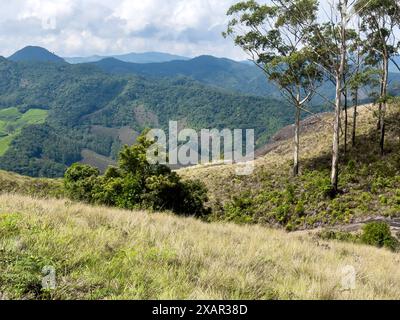 Wunderschöner Blick auf die Landschaft vom Eravikulam Nationalpark in den Kannan Devan Hills in der Nähe von Munnar. Sie befindet sich im Devikulam Taluk von Idukki Stockfoto