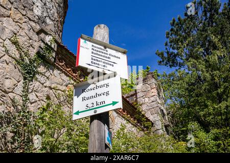 Roseburg Harz bei Ballenstedt Rieder Stockfoto