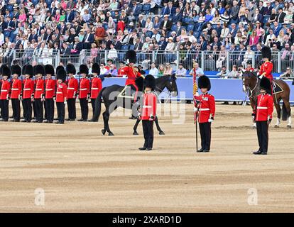 London, Großbritannien. Juni 2024. Der Brigade Major Lieutenant Colonel James Shaw LVO, Grenadier Guards, grüßt die Farbe bei der Colonel's Review, während die Irish Guards ihre Farbe für die Ceromonie „Trooping the Colour“ präsentieren, wobei der Salutnehmer für die Colonel's Review Generalleutnant James Bucknall, KCB, CBE, ist. Ehemaliger Kommandeur der Parade der alliierten Schnellreaktionskorps Horse Guards, London, Großbritannien. Quelle: LFP/Alamy Live News Stockfoto