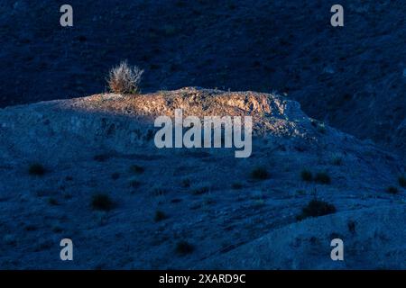 Gorafe Schluchten, Puntal de Don Diego, Oberturolisches und Pliozän, Guadix-Becken, Granada Geopark, Granada Provinz, Andalusien, Spanien. Stockfoto