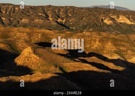 Gorafe Schluchten, Puntal de Don Diego, Oberturolisches und Pliozän, Guadix-Becken, Granada Geopark, Granada Provinz, Andalusien, Spanien. Stockfoto