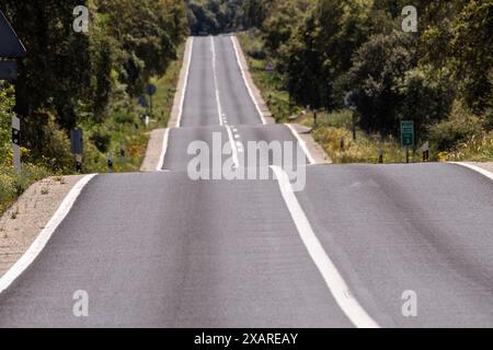 Einsame Straße durch den Wald, in der Nähe von Cala - Sierra de Los Gabrieles -, Huelva, Andalusien, Spanien. Stockfoto