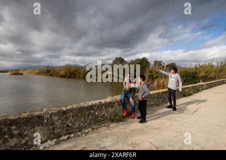 Parque Natural de s'Albufera de Mallorca, términos Communales de Muro y Sa Pobla, Mallorca, Balearen, Spanien. Stockfoto