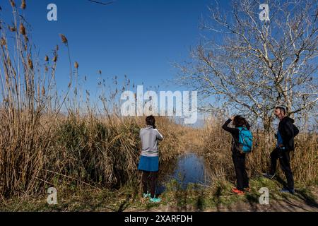 albufera de mallorca, Mallorca, Balearen, Spanien. Stockfoto