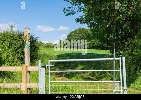 Tor zu einem öffentlichen Fußweg über Ackerland in der englischen Landschaft Stockfoto