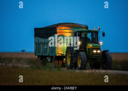 Ein Traktor transportiert frisch geernteten Reis neben überfluteten Reisfeldern in Isla Mayor, Sevilla, Spanien. Stockfoto