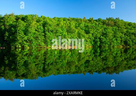 Reservoir #3, West Hartford Reservoirs, West Hartford, Connecticut Stockfoto