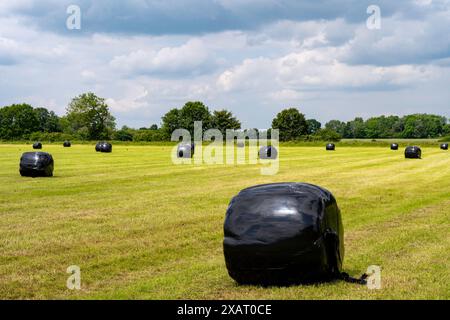 Heuballen in Kunststoffabdeckungen Stockfoto