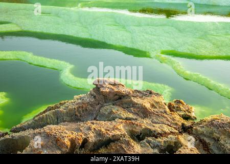 Farbenfrohe grüne vulkanische Seeterrassen, Wüste Danakil Depression, Region Afar, Äthiopien Stockfoto