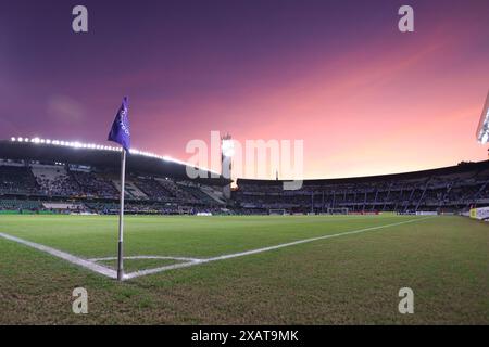 Curitiba, Brasilien. Juni 2024. PR - CURITIBA - 06/08/2024 - COPA LIBERTADORES 2024, GEMIO x ESTUDIATES - Allgemeine Ansicht des Stadions Couto Pereira für das Spiel zwischen Gremio und Estudiantes für die Copa Libertadores 2024 Meisterschaft. Foto: Maxi Franzoi/AGIF Credit: AGIF/Alamy Live News Stockfoto