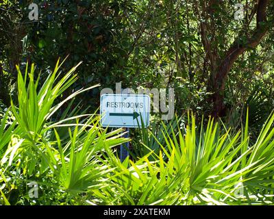 Toiletten-Schild mit Richtung umgeben von tropischen Pflanzen. Stockfoto