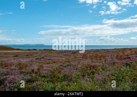 Blick von Hengistbury Head mit Isle of Wight am Horizont in hellen Farben. Stockfoto