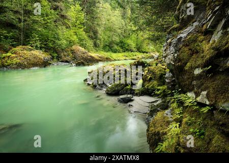 South Fork Stillaguamish River, Robe Canyon Historic Park, Cascade Mountains, Snohomish County, Washington State, USA Stockfoto