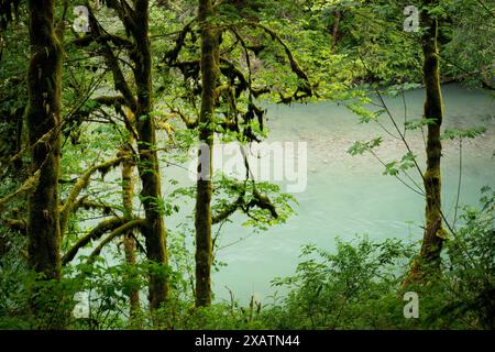 South Fork Stillaguamish River, Robe Canyon Historic Park, Cascade Mountains, Snohomish County, Washington State, USA Stockfoto