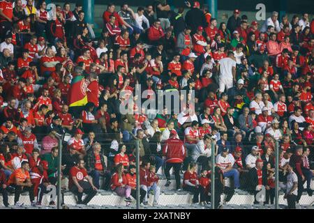 Caxias Do Sul, Brasilien. Juni 2024. RS - CAXIAS DO SUL - 06/08/2024 - SÜDAMERIKA-CUP 2024 - Internacional Fans während eines Spiels gegen Delfin im Alfredo Jaconi Stadion für die Copa Sudamericana 2024 Meisterschaft. Foto: Luiz Erbes/AGIF Credit: AGIF/Alamy Live News Stockfoto