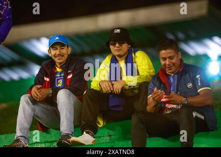 Caxias Do Sul, Brasilien. Juni 2024. RS - CAXIAS DO SUL - 06/08/2024 - SÜDAMERIKA-CUP 2024 - Delfin Fans während eines Spiels gegen Internacional im Alfredo Jaconi Stadion für die Copa Sudamericana 2024 Meisterschaft. Foto: Luiz Erbes/AGIF Credit: AGIF/Alamy Live News Stockfoto