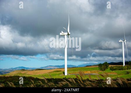 Windpark Te Apiti - Neuseeland Stockfoto