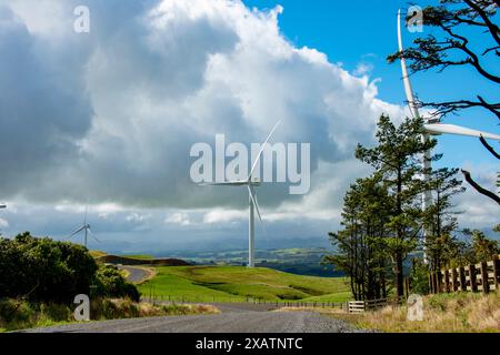 Windpark Te Apiti - Neuseeland Stockfoto