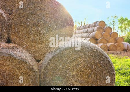 Viele Heuballen im Freien an sonnigen Tagen, Schließung Stockfoto