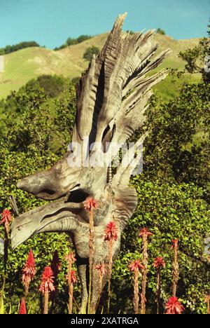 Kalifornien, USA, ca. 1994. Der Phönixvogel, der von Edmund Kara aus einem Stück Holz geformt wurde. Stockfoto