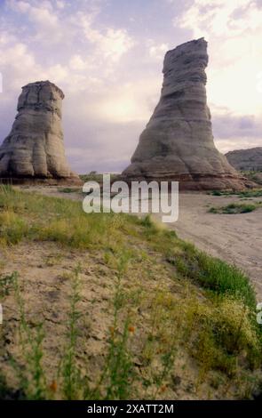 Die Elephant's Feet natürlichen Felsformationen in Tonalea, Arizona, USA, um 1992 Stockfoto