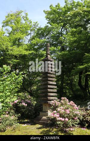 Frisches Grün im Hogon-in Tempel, Kyoto, Japan Stockfoto