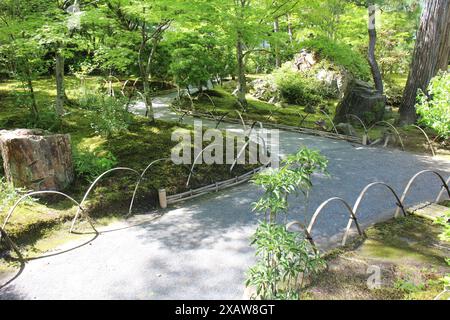 Frisches Grün im Hogon-in Tempel, Kyoto, Japan Stockfoto