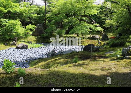 Frischer grüner und japanischer Garten „Meer des Leidens“ im Hogon-in-Tempel, Kyoto, Japan Stockfoto