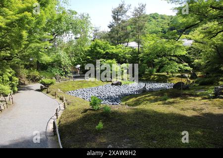 Frischer grüner und japanischer Garten „Meer des Leidens“ im Hogon-in-Tempel, Kyoto, Japan Stockfoto