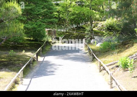 Frisches Grün im Hogon-in Tempel, Kyoto, Japan Stockfoto