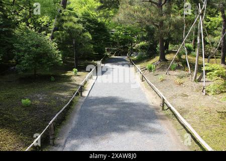 Frisches Grün im Hogon-in Tempel, Kyoto, Japan Stockfoto