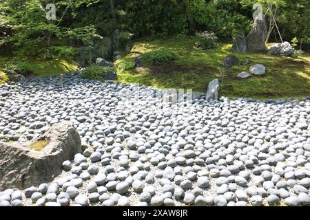 Frischer grüner und japanischer Garten „Meer des Leidens“ im Hogon-in-Tempel, Kyoto, Japan Stockfoto