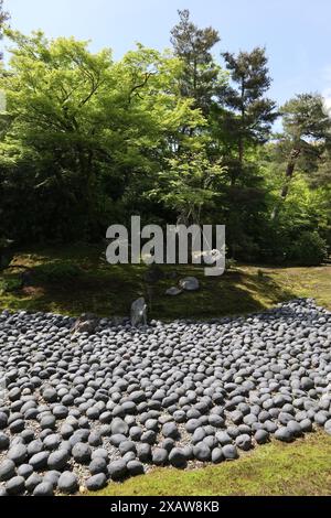 Frischer grüner und japanischer Garten „Meer des Leidens“ im Hogon-in-Tempel, Kyoto, Japan Stockfoto