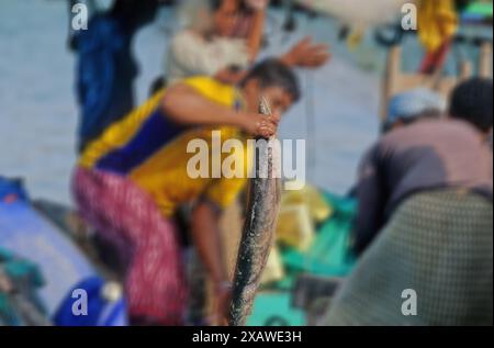 Der Markt in Tihama ist die Küstenebene des Roten Meeres der Arabischen Halbinsel vom Golf von Aqaba bis zum Bab el Mandeb Stockfoto