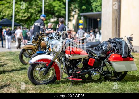 Harley Davidson beim schwedischen Nationalfeiertag im OLAI Park. Dieser Tag fällt mit dem historischen Tag des Motors in Schweden zusammen Stockfoto