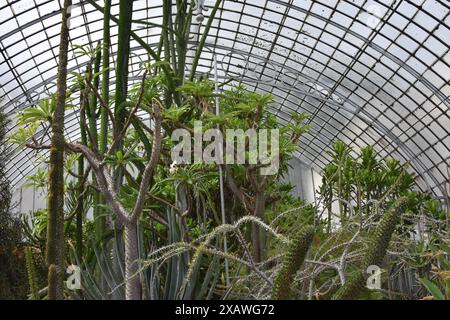 Die Nantes Pflanzen Garten See, Spaziergang, das Gewächshaus und die Wasserstrahlen Stockfoto