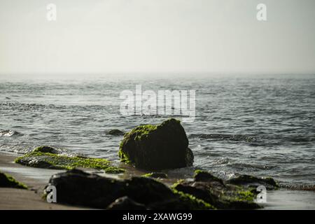 Eine ruhige Küstenszene mit Felsen, die mit grünen Algen bedeckt sind, an einem Sandstrand, mit ruhigen Meereswellen im Hintergrund unter einem trüben Himmel. Stockfoto