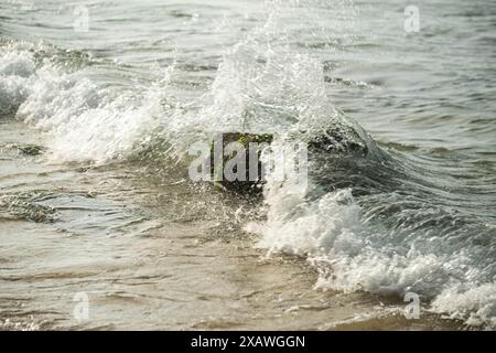 Wellen schlagen gegen einen moosbedeckten Felsen an einem Sandstrand. Stockfoto