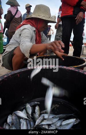 Bali, Indonesien - 29. Mai 2016 : Eine Fischerin sortiert Meeresfische am Strand von Kedonganan, Kuta, Bali, Indonesien Stockfoto